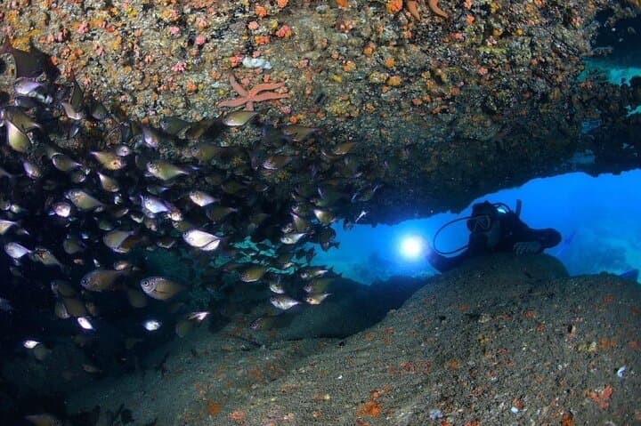 Beginner Scuba Diving Day Trip in Nha Trang: Two Dives at Hon Mun photo 5