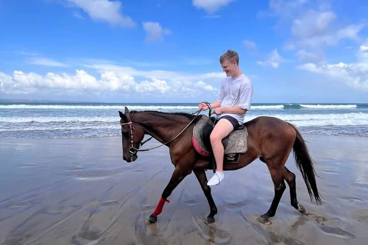 Seminyak Beach Horse Riding: Sunrise, Sunset & Private Transfers photo 5