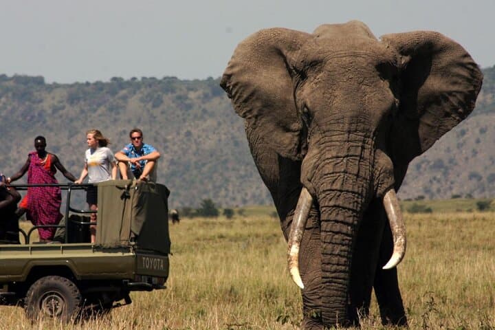 3-Day Kruger Safari from Johannesburg: Sunrise & Sunset Game Drives to See the Big Five