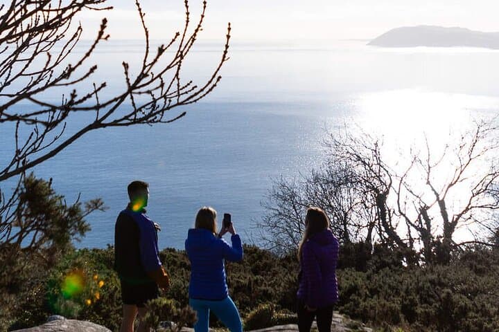Half-Day Rock Climbing at Dalkey Quarry — Beginner Climbs with Dublin Bay Views photo 3