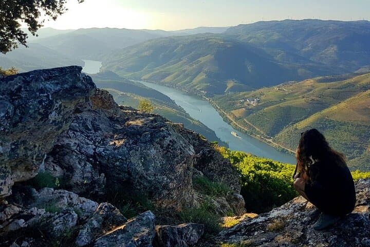 Private Premium Douro Tour: Full-Day Douro Valley Wine & River Cruise from Porto