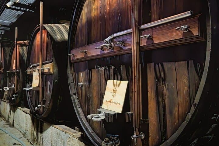 Private Premium Douro Tour: Full-Day Douro Valley Wine & River Cruise from Porto photo 2
