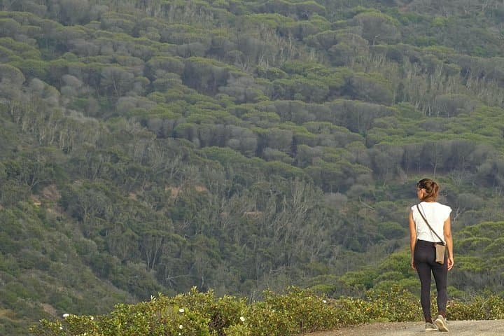 West Coast Algarve Half-Day Nature Walk & Picnic — Cordoama to Castelejo photo 6
