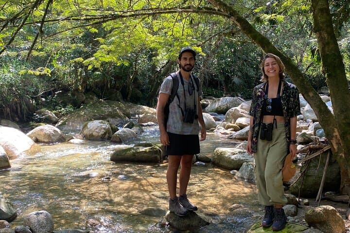 Birdwatching Guatapé: See 400 Bird Species on a Half-Day Tour photo 3
