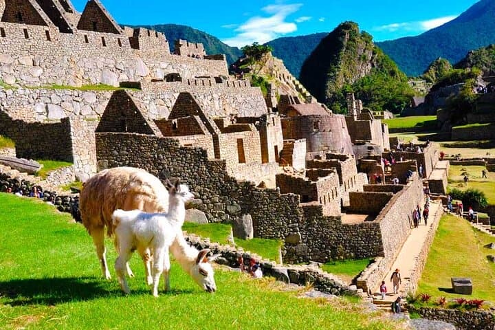 Private Guided Tour of Machu Picchu — Photo-Friendly Circuits and Local Insight photo 5