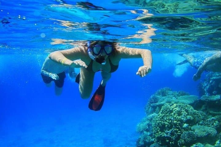 Speedboat Snorkel Tour to Tiran Island from Sharm El Sheikh photo 3