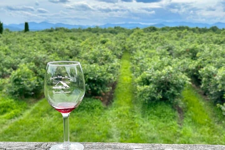 Vermont Small-Group Wine & Cider Day Tour from Burlington photo 4