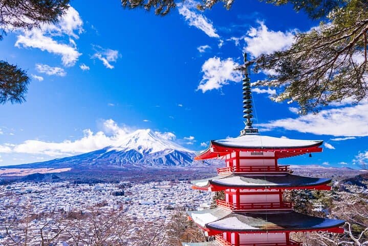 Mt Fuji and Hakone Day Tour: Cruise, Ropeway & Oshino Hakkai Guide photo 6