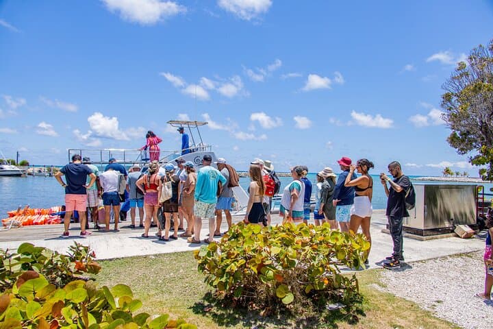 Half-Day Catamaran Cruise from Bavaro Beach — Snorkel, Natural Pool & Open Bar photo 6