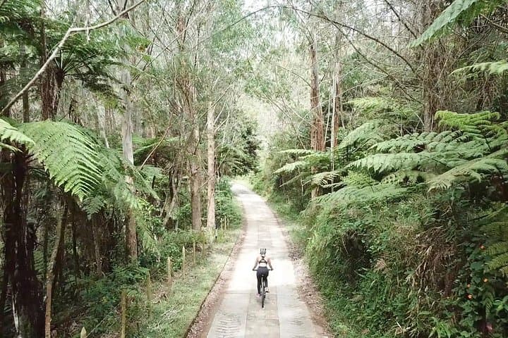 Mountain Bike Rental in Guatapé — Ride Between Mountains and Reservoir Trails photo 2