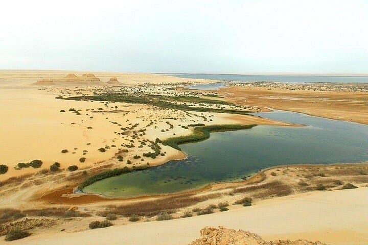 Day Trip to Fayoum Oasis: Wadi El Rayan, Wadi Al-Hitan & Qarun Lake from Cairo photo 6