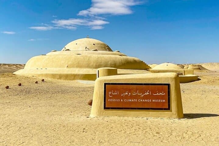 Day Trip to Fayoum Oasis: Wadi El Rayan, Wadi Al-Hitan & Qarun Lake from Cairo