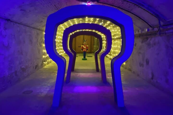 Private Champagne Taittinger and Pommery Tasting Day Trip from Paris photo 5