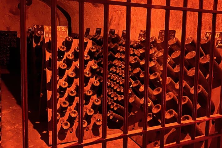 Private Champagne Taittinger and Pommery Tasting Day Trip from Paris photo 6