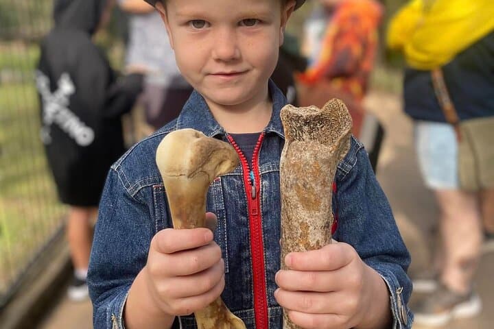 Hands-On Dinosaur & Fossil Zoo Tour + Rockhampton Botanic Gardens Walk