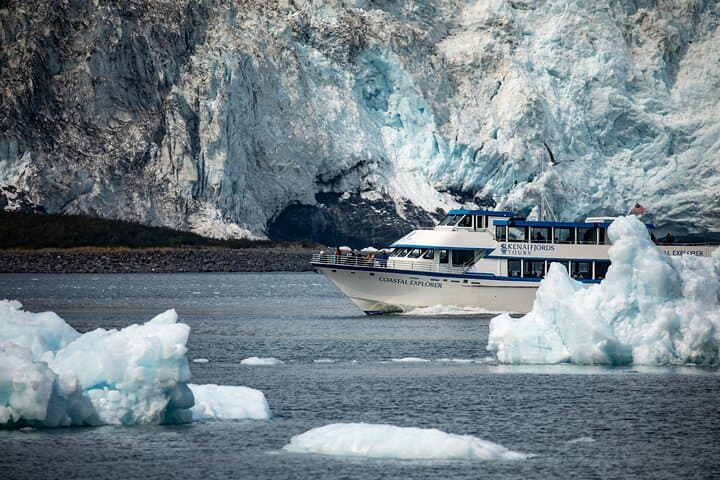 Kenai Fjords Glacier & Wildlife Cruise from Seward — 6-Hour Glacier Viewing & Whales photo 2