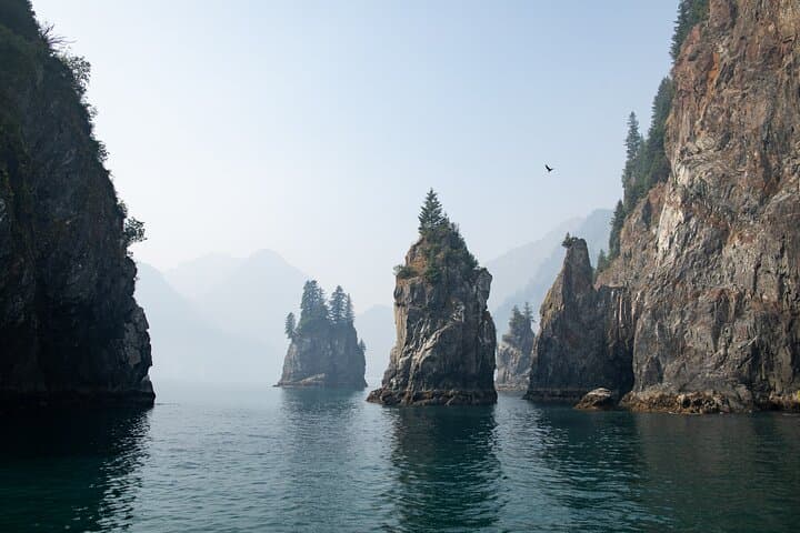 Kenai Fjords Glacier & Wildlife Cruise from Seward — 6-Hour Glacier Viewing & Whales photo 4
