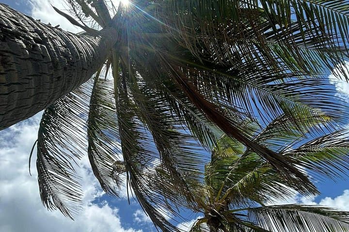 Beach Bliss Yoga San Juan — Morning Oceanfront Yoga & Swim photo 3