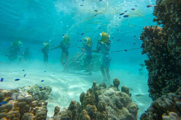 Aquablue Moorea — Underwater Helmet Walk in the Lagoon photo 4