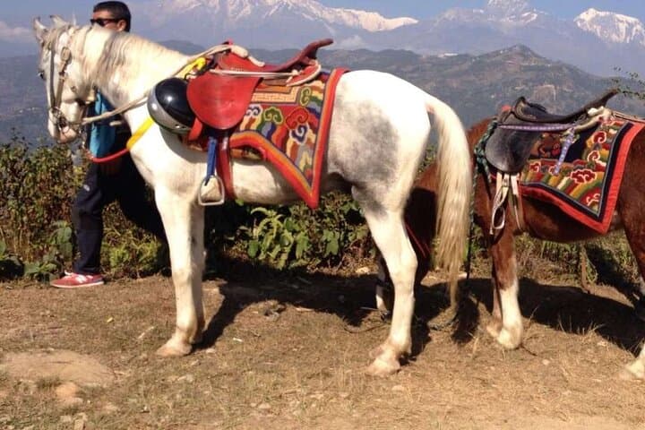 Private 3-Hour Pony Ride Along Phewa Lake, Pokhara photo 4