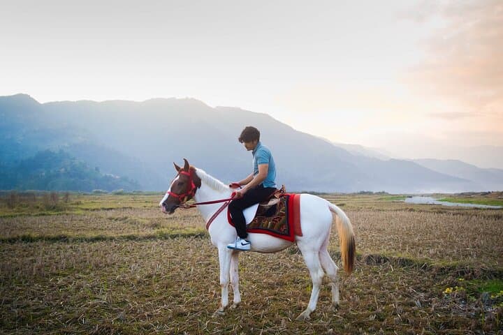 Private 3-Hour Pony Ride Along Phewa Lake, Pokhara photo 6