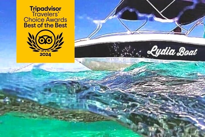 Eco-Friendly Dolphin Encounter and Benitier Island Barbecue from Le Morne