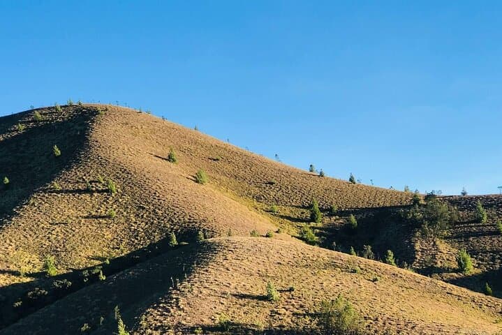Meesapulimala Overnight Trek & Munnar Sightseeing: Tea, Tents, and Mountain Air photo 4