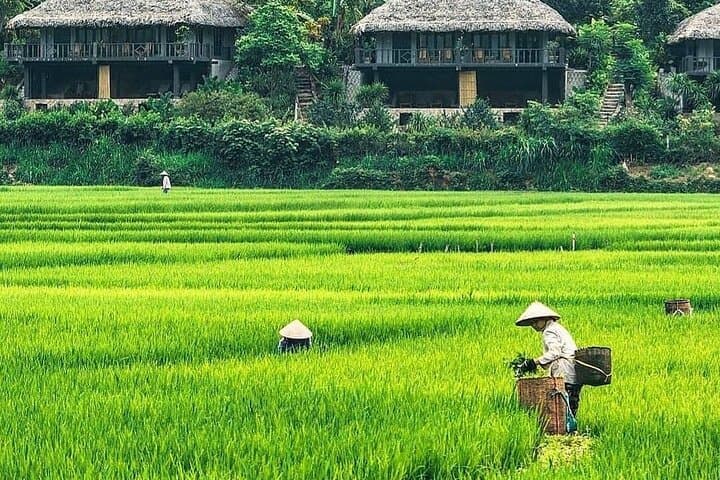 Mai Chau Day Trip from Hanoi: Thung Khe Pass, Mo Luong Cave & Countryside Biking