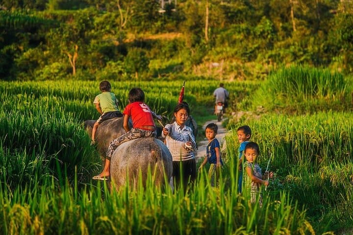 Mai Chau Day Trip from Hanoi: Bike Rice Fields, Thung Khe Pass & Mo Luong Cave