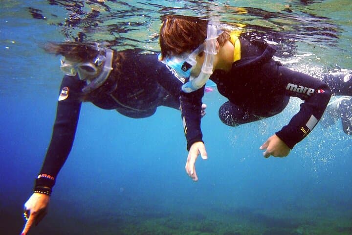 Shore Snorkelling in South Gran Canaria: Guided Coastal Marine Tour photo 2