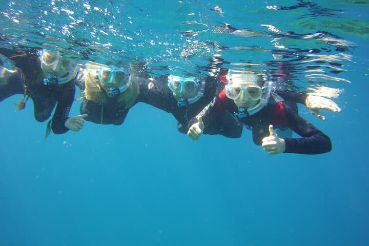 Shore Snorkelling in South Gran Canaria: Guided Coastal Marine Tour photo 6