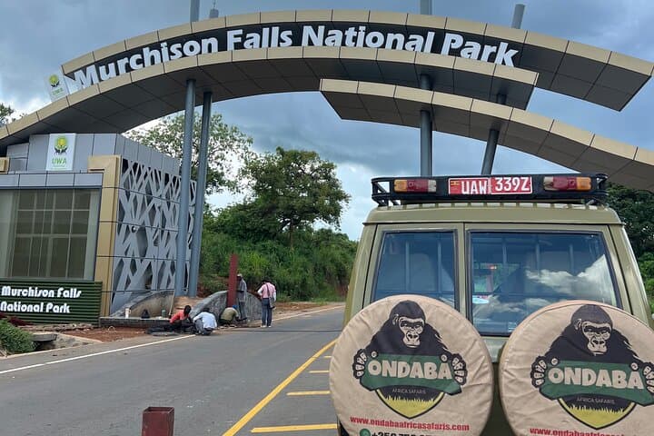 Murchison Falls 2-Day Safari: Nile Cruise, Falls & Game Drives