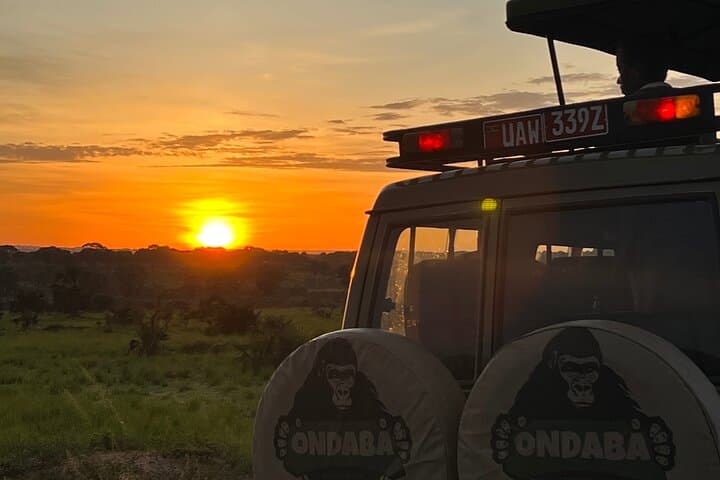 Murchison Falls 2-Day Safari: Nile Cruise, Falls & Game Drives photo 2