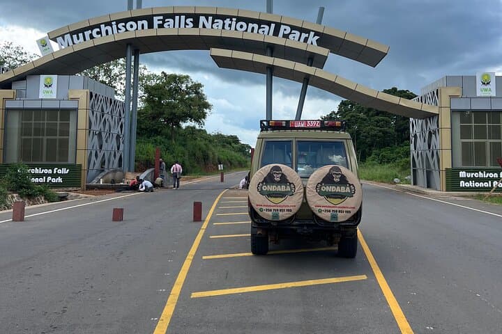 Murchison Falls 2-Day Safari: Nile Cruise, Falls & Game Drives photo 5