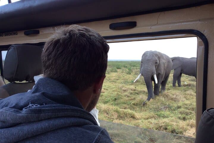 5-Day Kenya Safari: Masai Mara, Lake Nakuru & Naivasha Group Tour photo 6