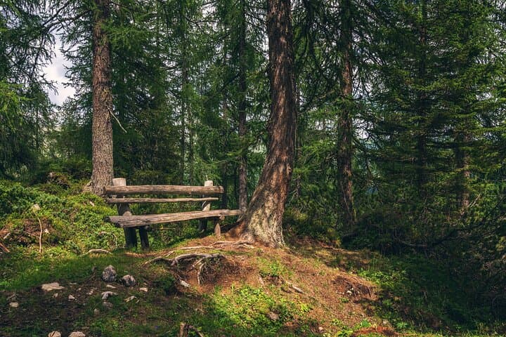 Private Hike to Tre Cime, Misurina & Braies from Cortina — Day Tour in the Dolomites photo 6
