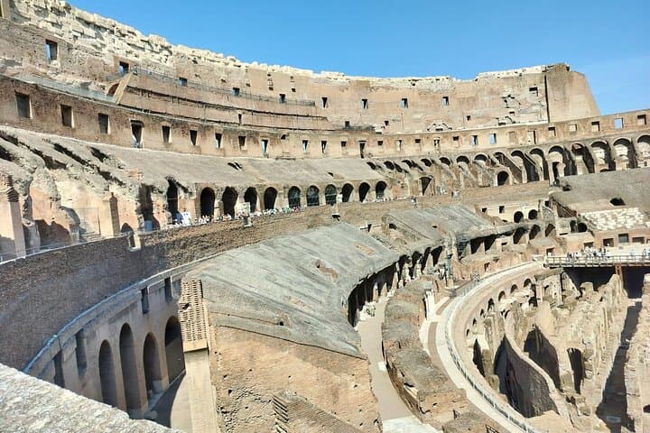 Colosseum Guided Tour: Skip-the-Line Gladiator Arena & Palatine Hill photo 4