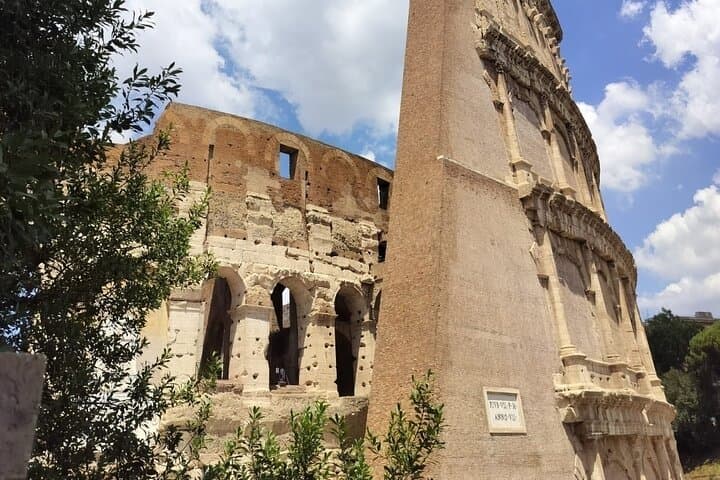 Colosseum Guided Tour: Skip-the-Line Gladiator Arena & Palatine Hill photo 5