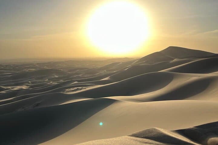 6-Day Private Gobi Desert Expedition: Khongor Dunes, Yol Valley & Nomad Gers photo 5