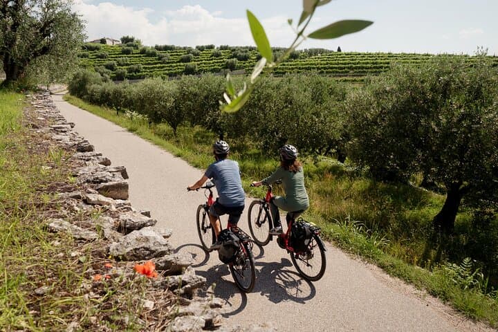 E-Bike Wine Tour Through Valpolicella Classica: Amarone Tasting & Countryside Ride