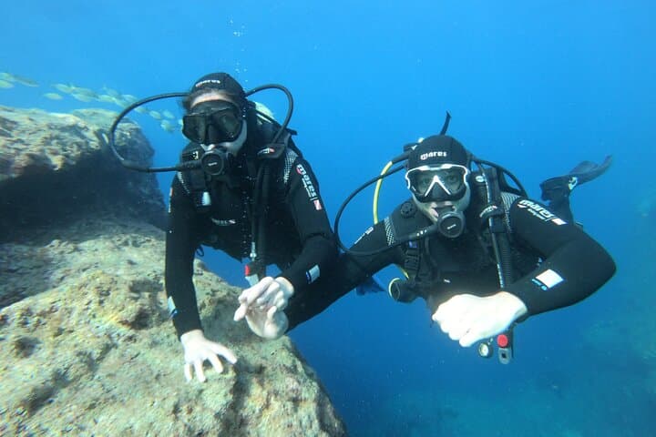 Discover Scuba Diving in Malta's Marine Park — Intro Dive to 12m photo 6