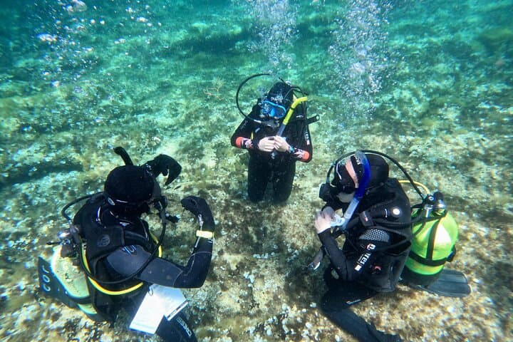 Discover Scuba Diving in Malta's Marine Park — Intro Dive to 12m photo 3