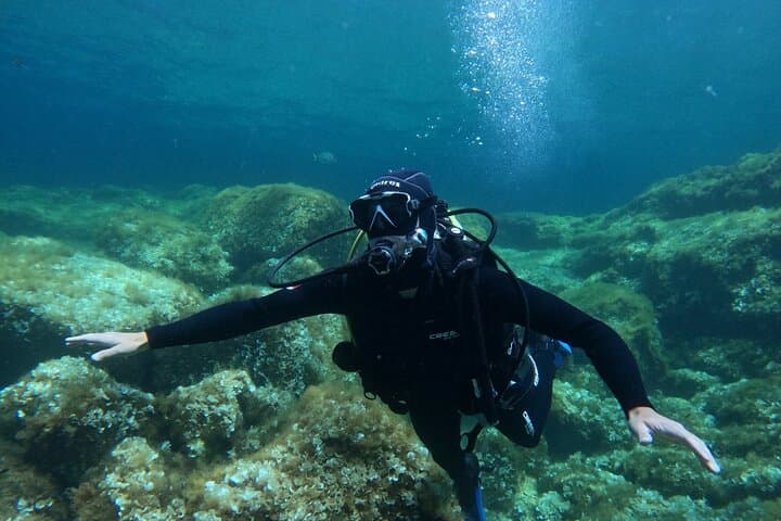 Discover Scuba Diving in Malta's Marine Park — Intro Dive to 12m