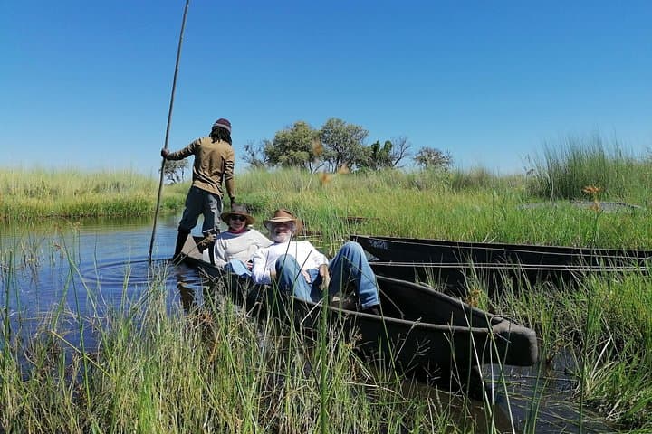 Okavango Delta 3-Day Safari: Mokoro Rides, Walking Safaris & Wilderness Camping photo 4
