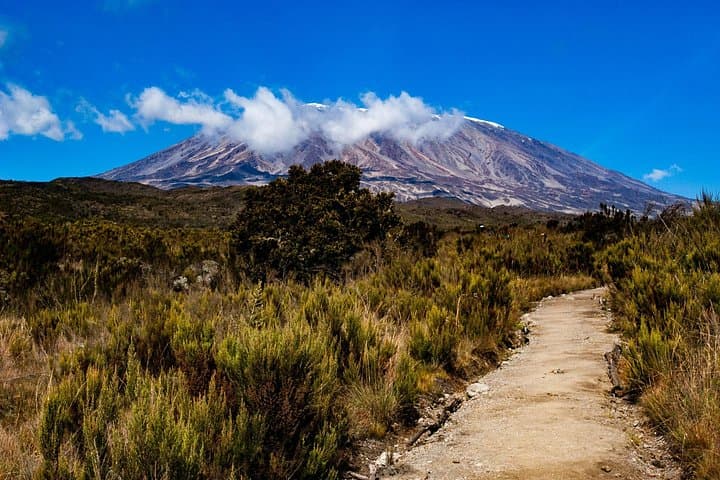 8-Day Lemosho Route Kilimanjaro: Guided Private Trek to Uhuru Peak photo 3