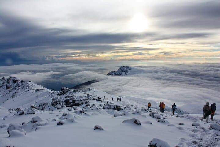 8-Day Lemosho Route Kilimanjaro: Guided Private Trek to Uhuru Peak photo 5