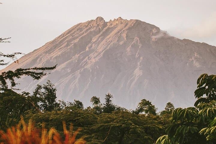 Hidden Arusha Waterfall, Village & Coffee Tour — Meru Mountain Coffee, Culture & Swim photo 4