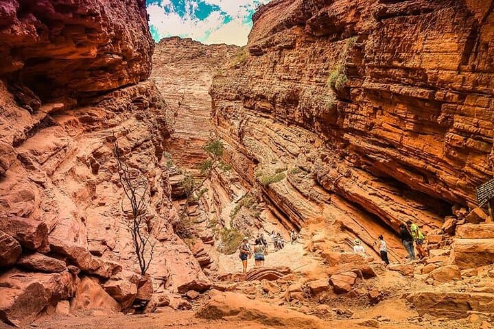 Salta to Cafayate: Drive Through Quebrada de las Conchas and Torrontés Tasting photo 4