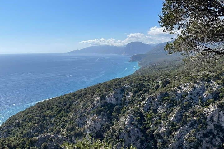 Dorgali Food, Wine & Handicrafts Tour from Cala Gonone — Taste Ogliastra Traditions photo 1