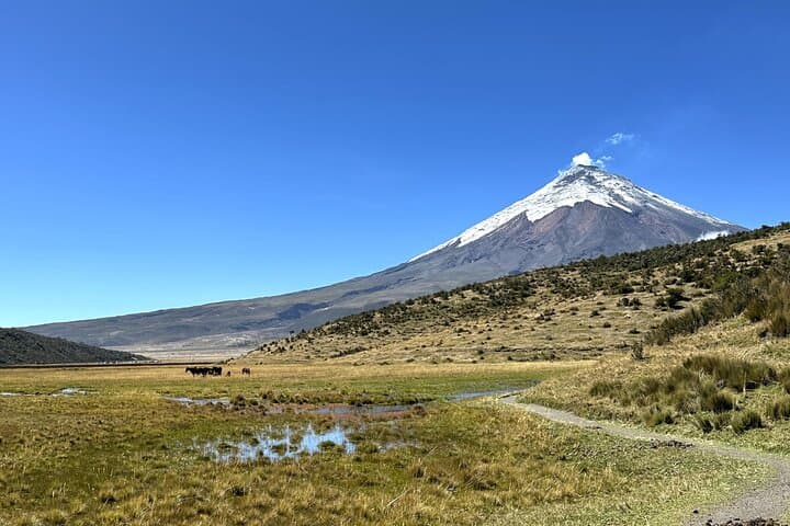 Cotopaxi and Baños: Full-Day Volcano, Waterfalls & Swing From Quito photo 6